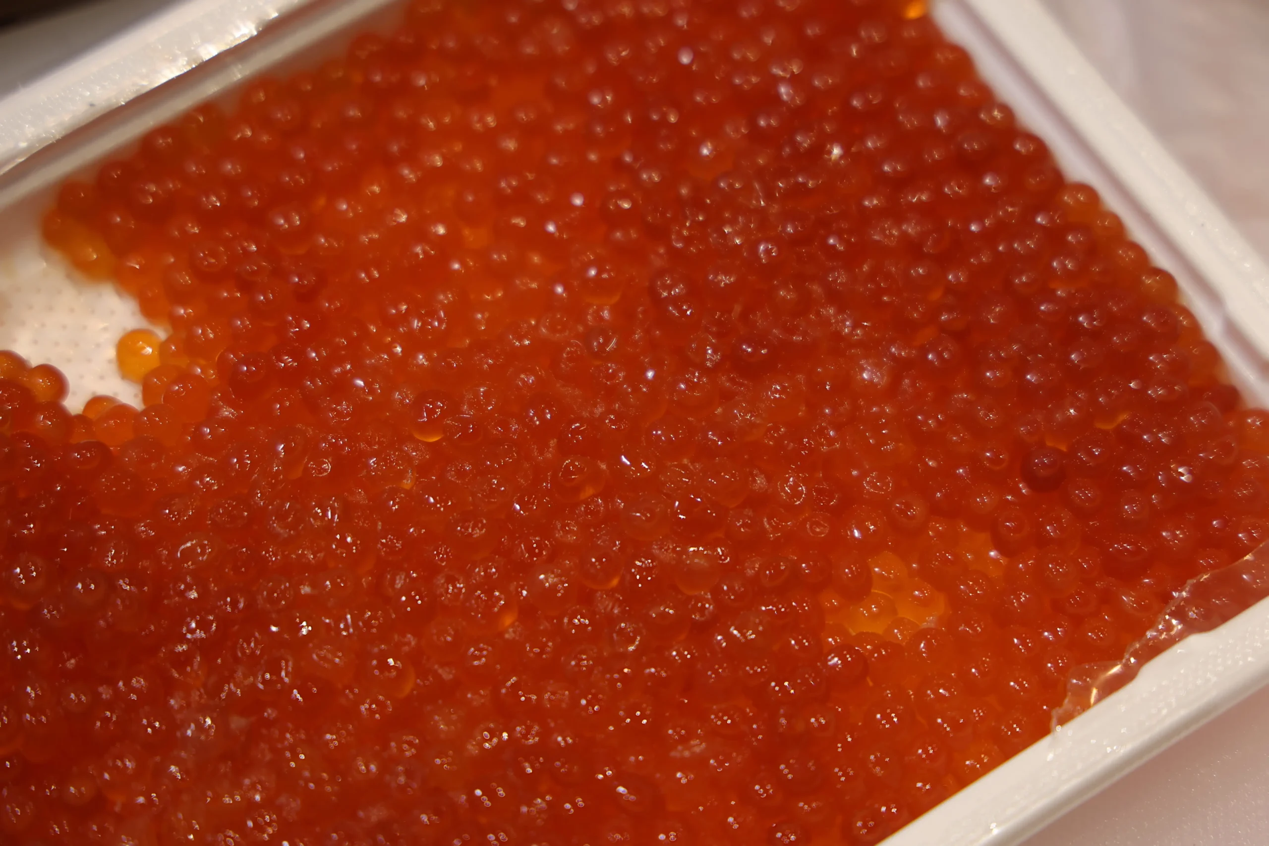Ikura Gunkan (Sushi Thuyền Trứng Cá Hồi)